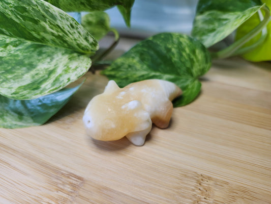 ORANGE CALCITE AXOLOTL