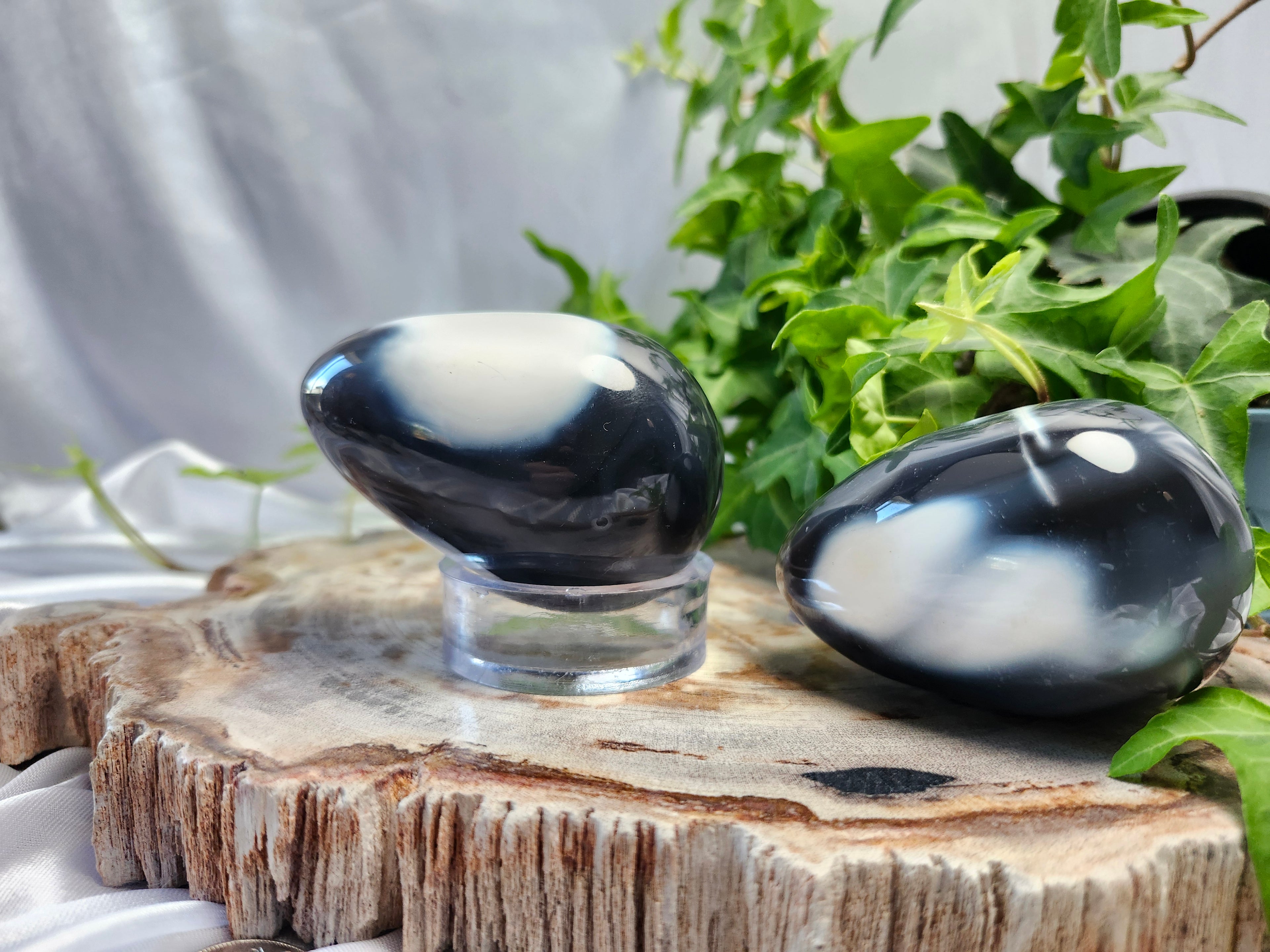 ORCA AGATE EGG