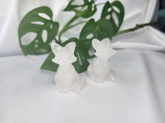 ROSE QUARTZ FOX