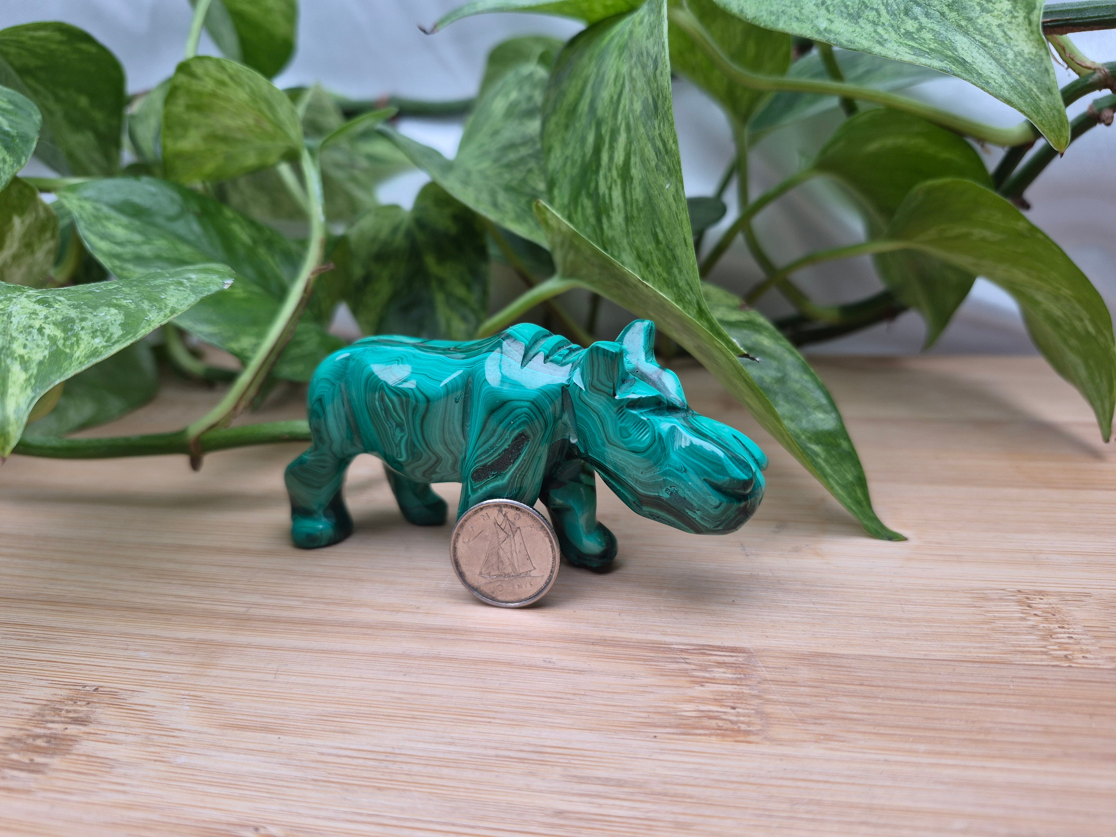 MALACHITE HIPPO