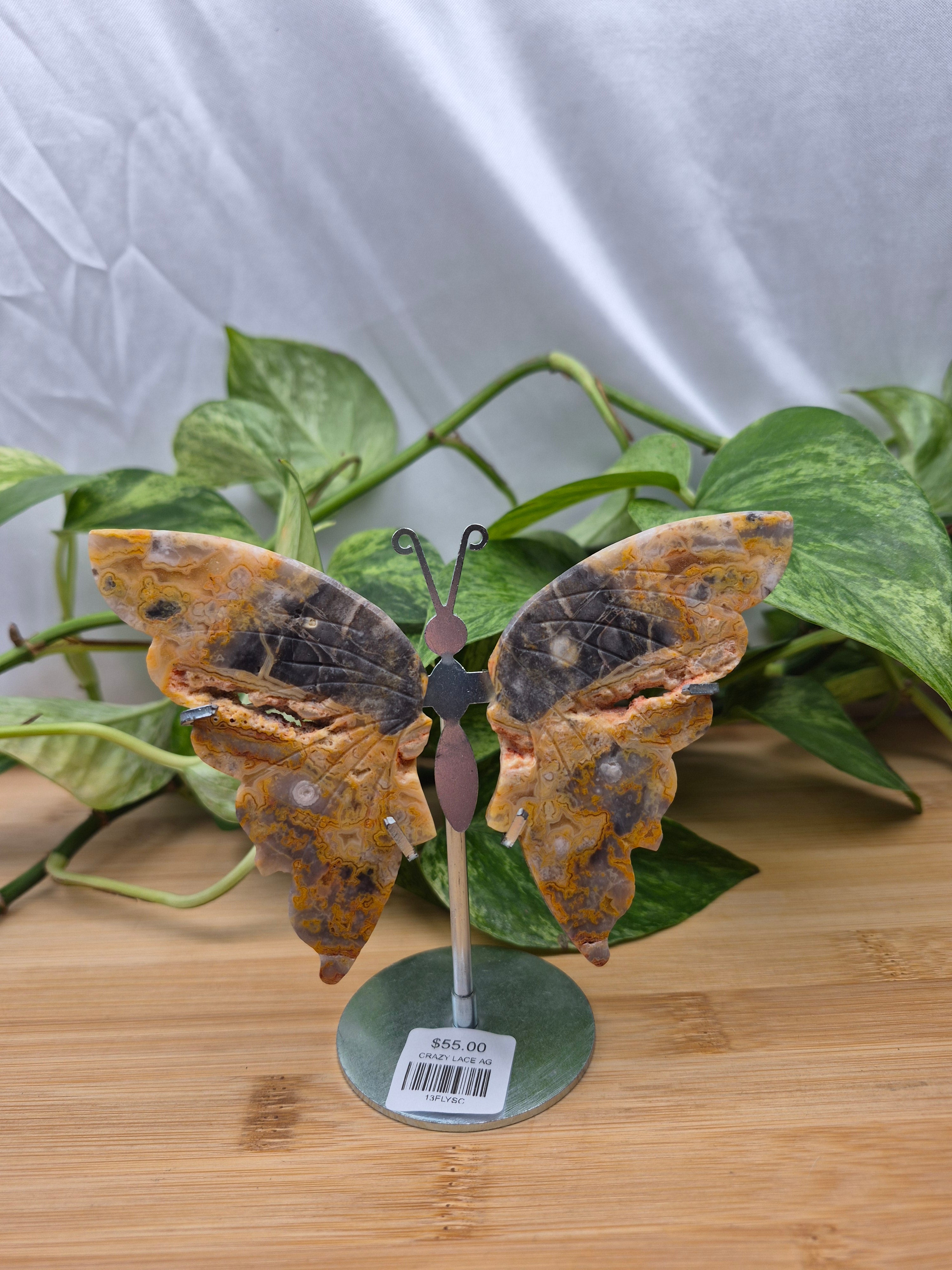 CRAZY LACE AGATE BUTTERFLY WINGS