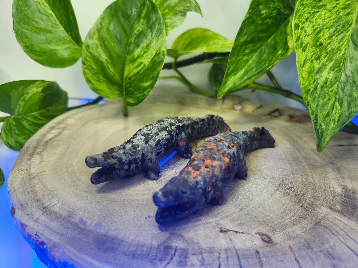 YOOPERLITE ALLIGATOR