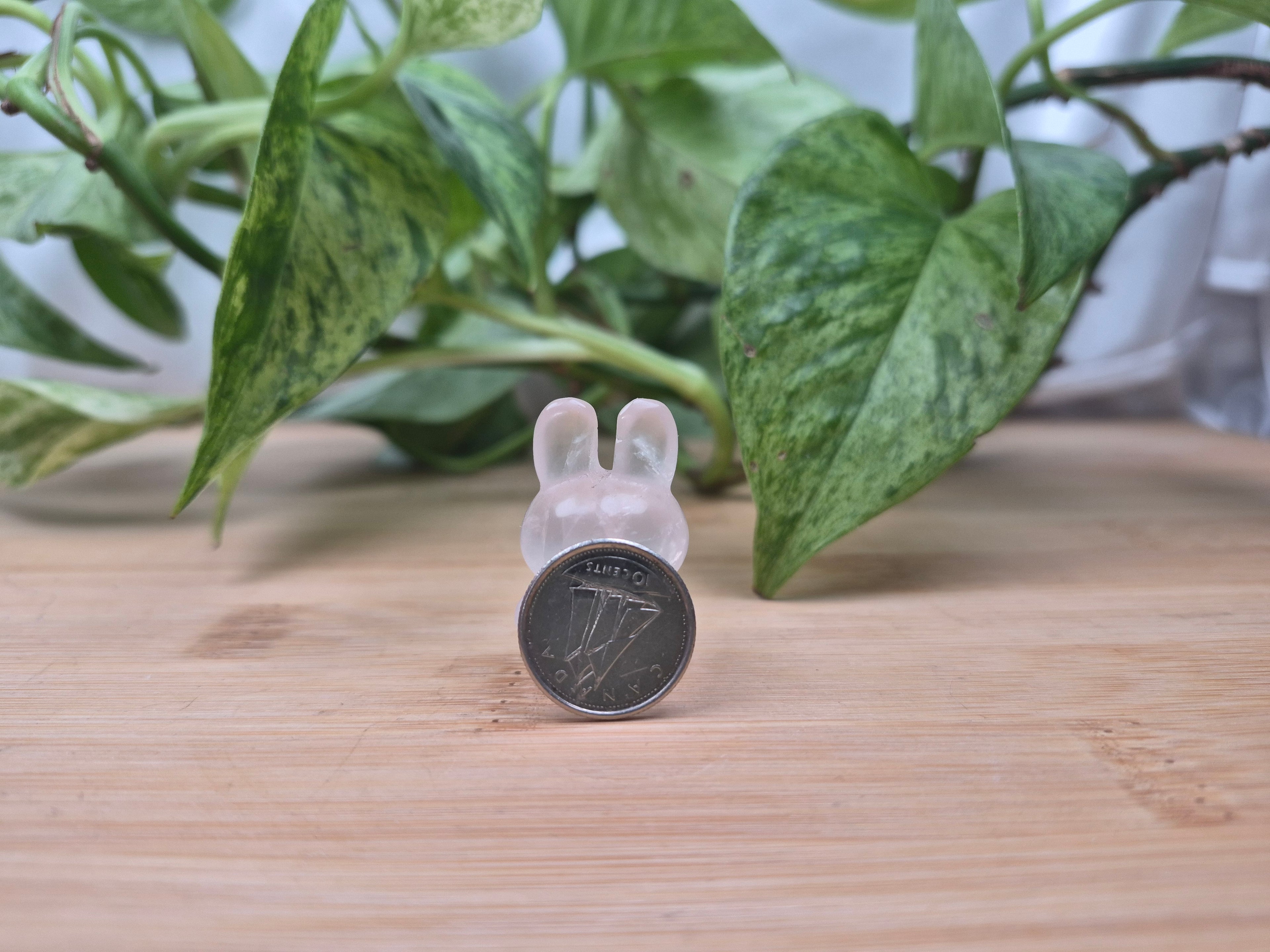 ROSE QUARTZ MIFFY HK FRIEND