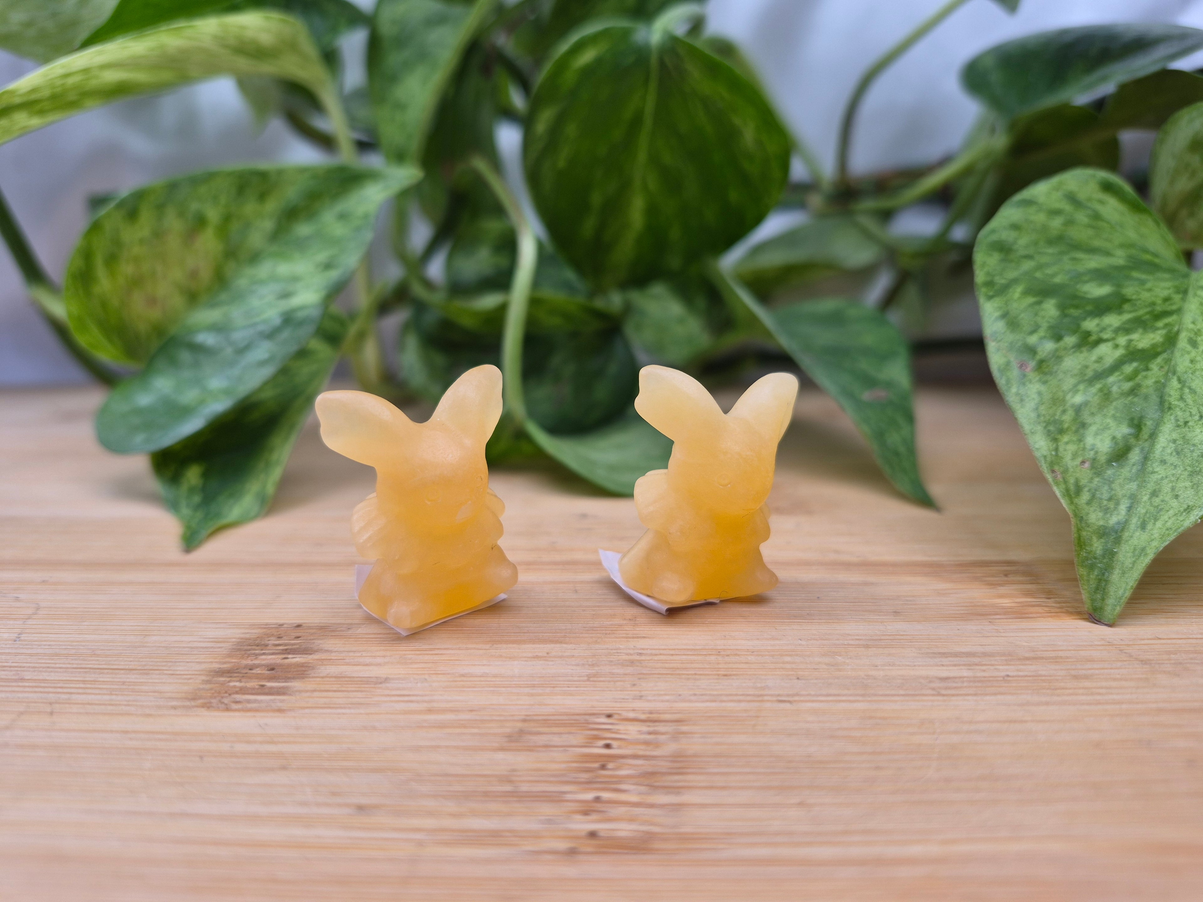 ORANGE CALCITE JOLTEON