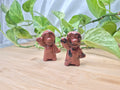 MAHOGANY OBSIDIAN LILO