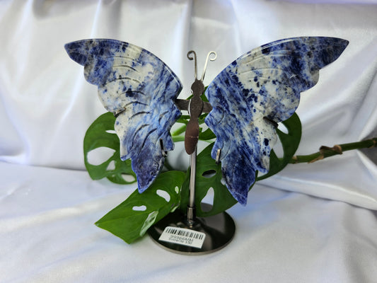 SODALITE BUTTERFLY WINGS