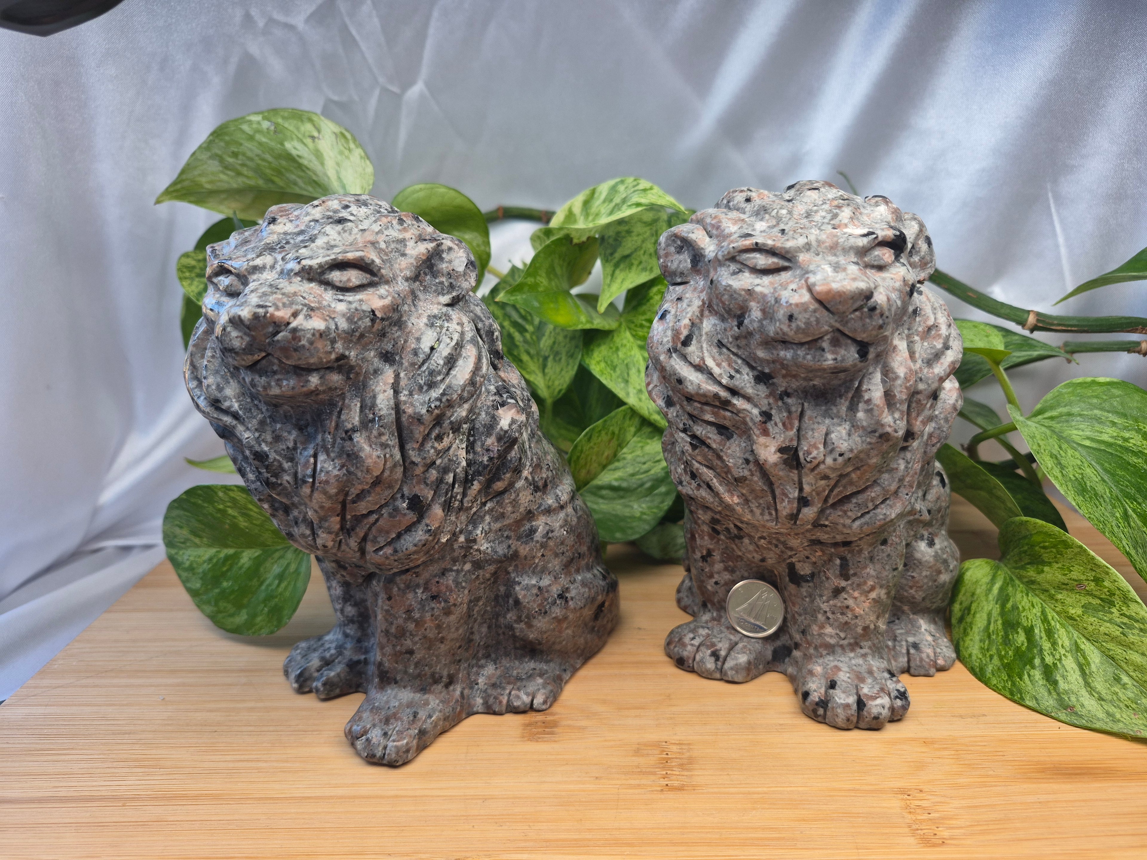 YOOPERLITE SITTING LION XL