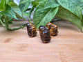 TIGERS EYE SQUIRREL