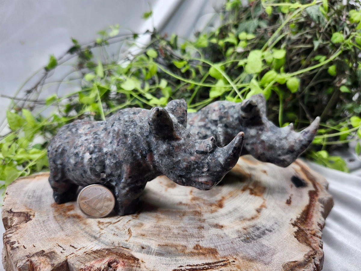 YOOPERLITE RHINO