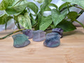 FLUORITE DITTO
