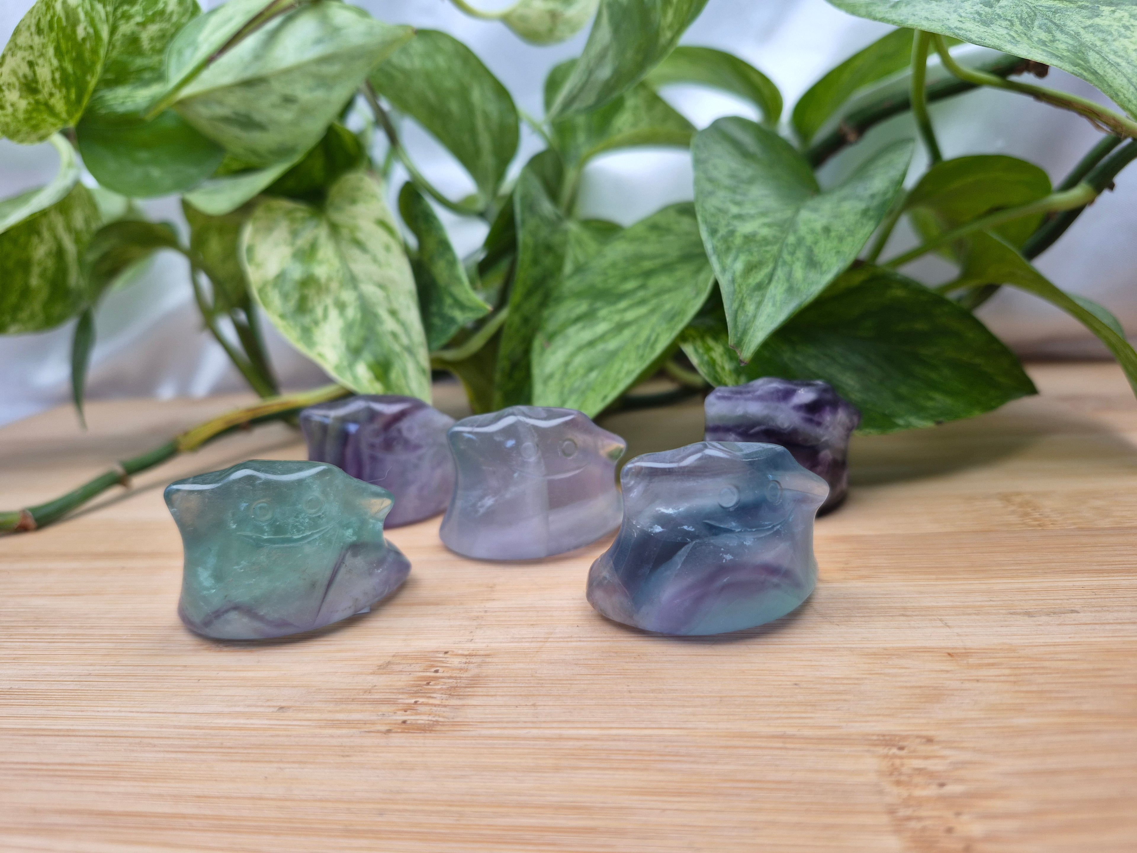FLUORITE DITTO