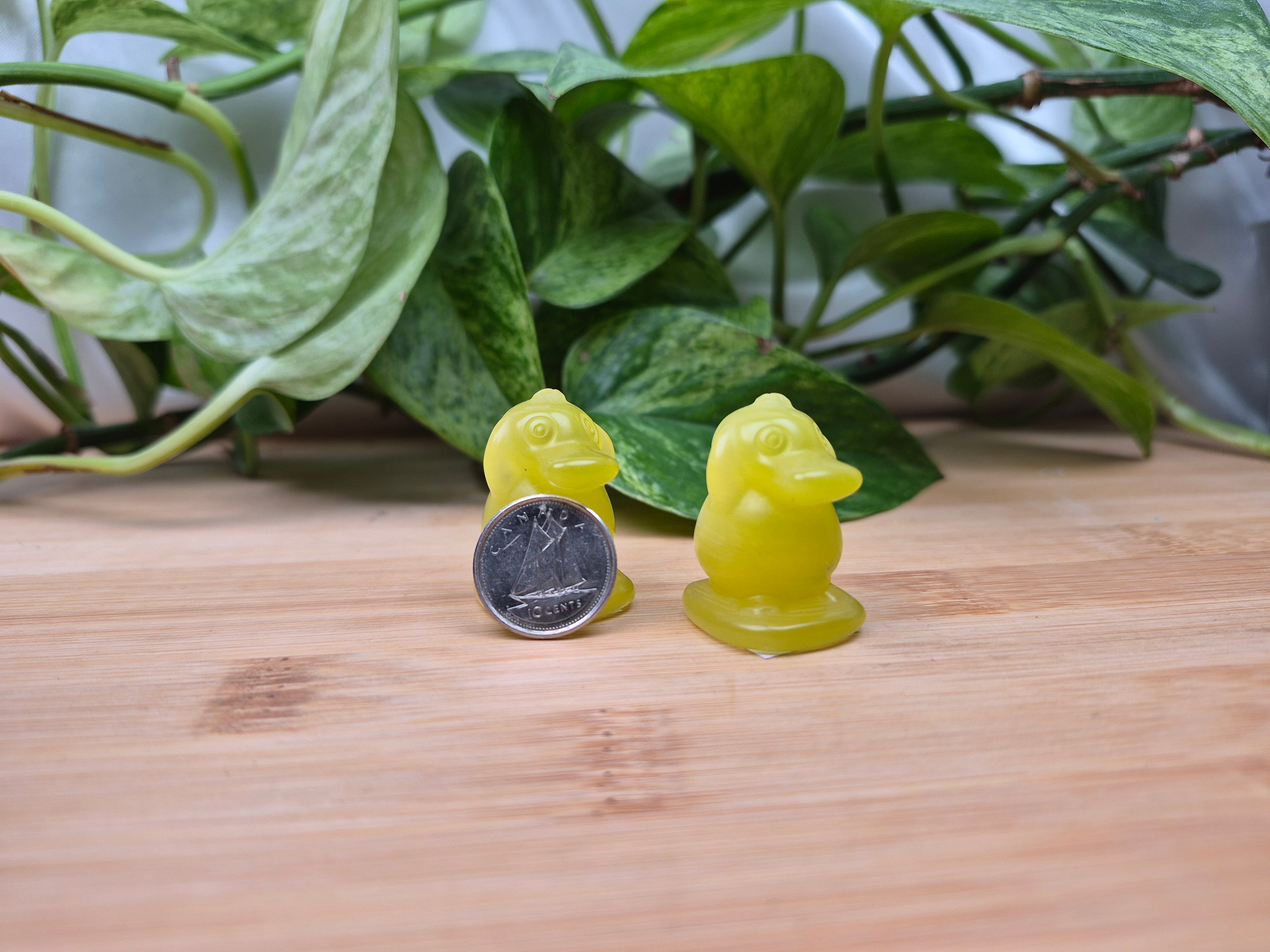 YELLOW CATS EYE PSYDUCK