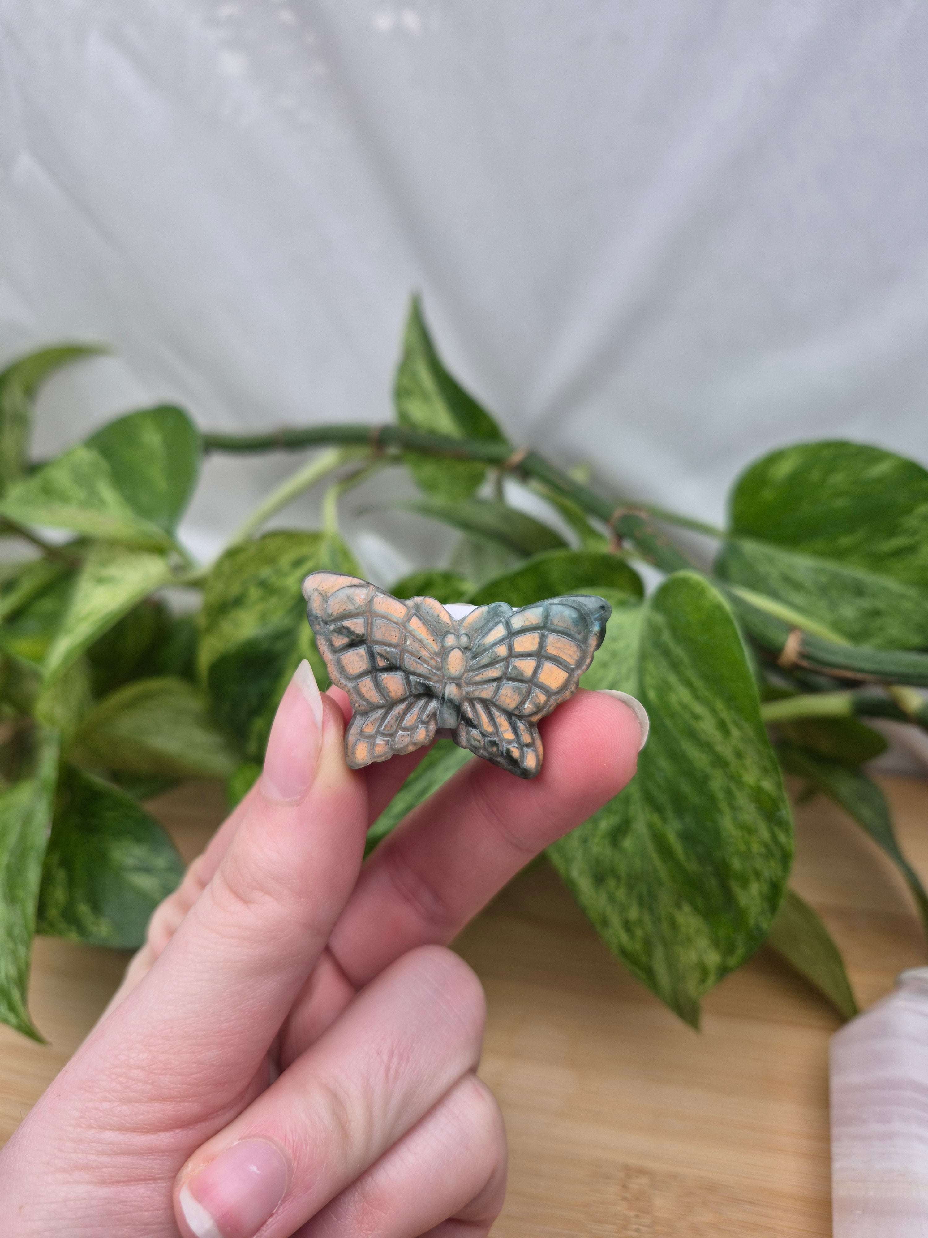 LABRADORITE BUTTERFLY