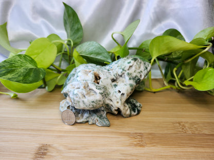 TREE AGATE FROG LG