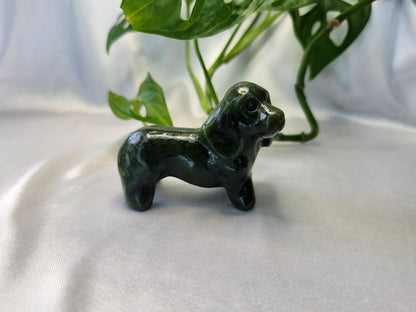JADE DACHSHUND