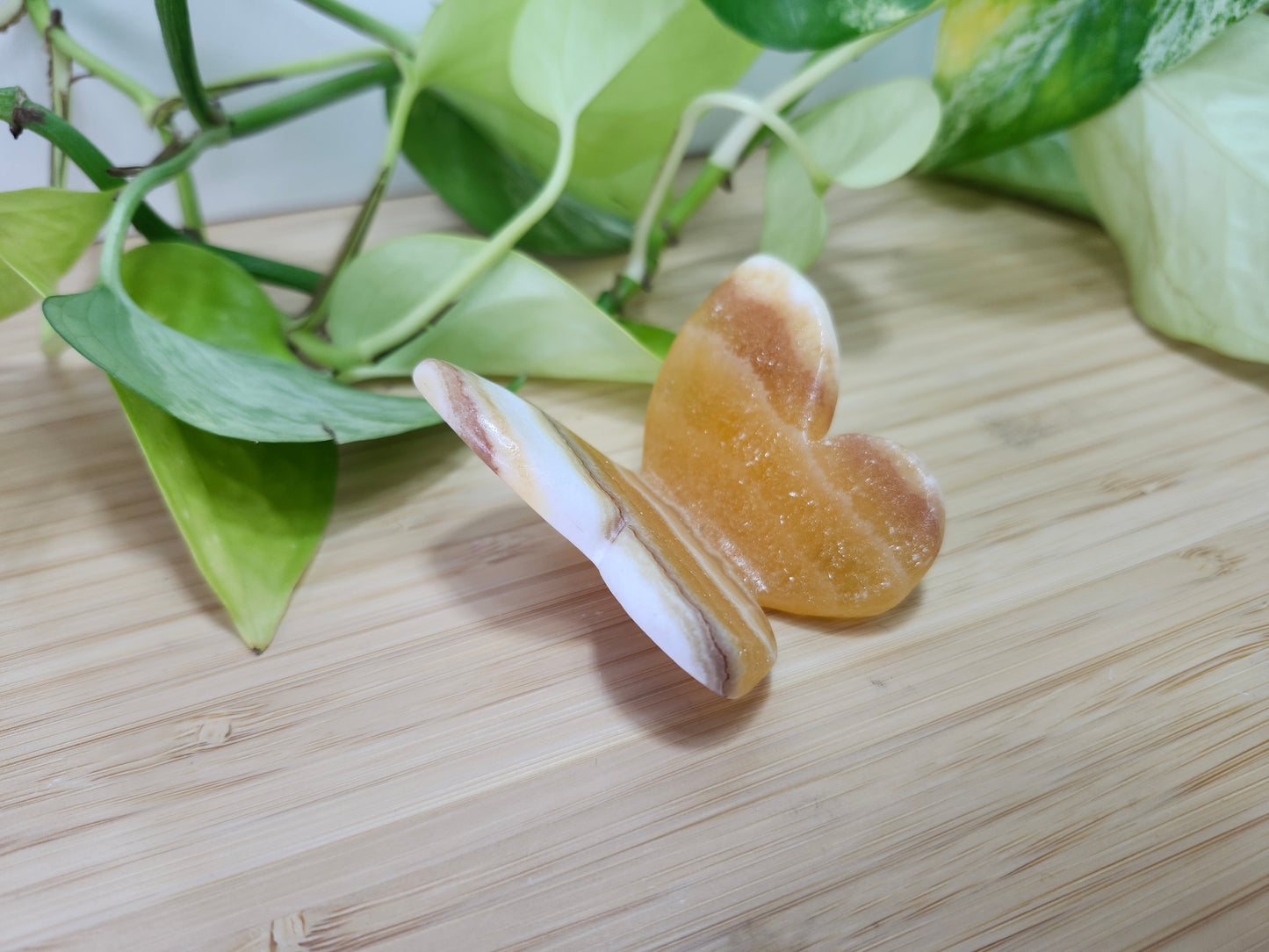 ORANGE CALCITE BUTTERFLY