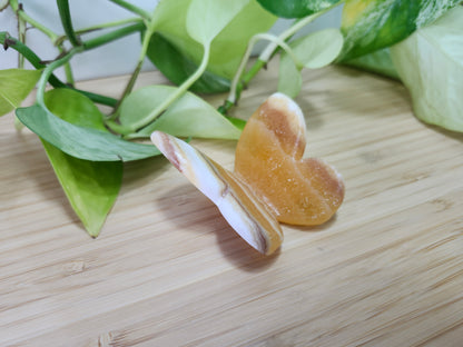 ORANGE CALCITE BUTTERFLY