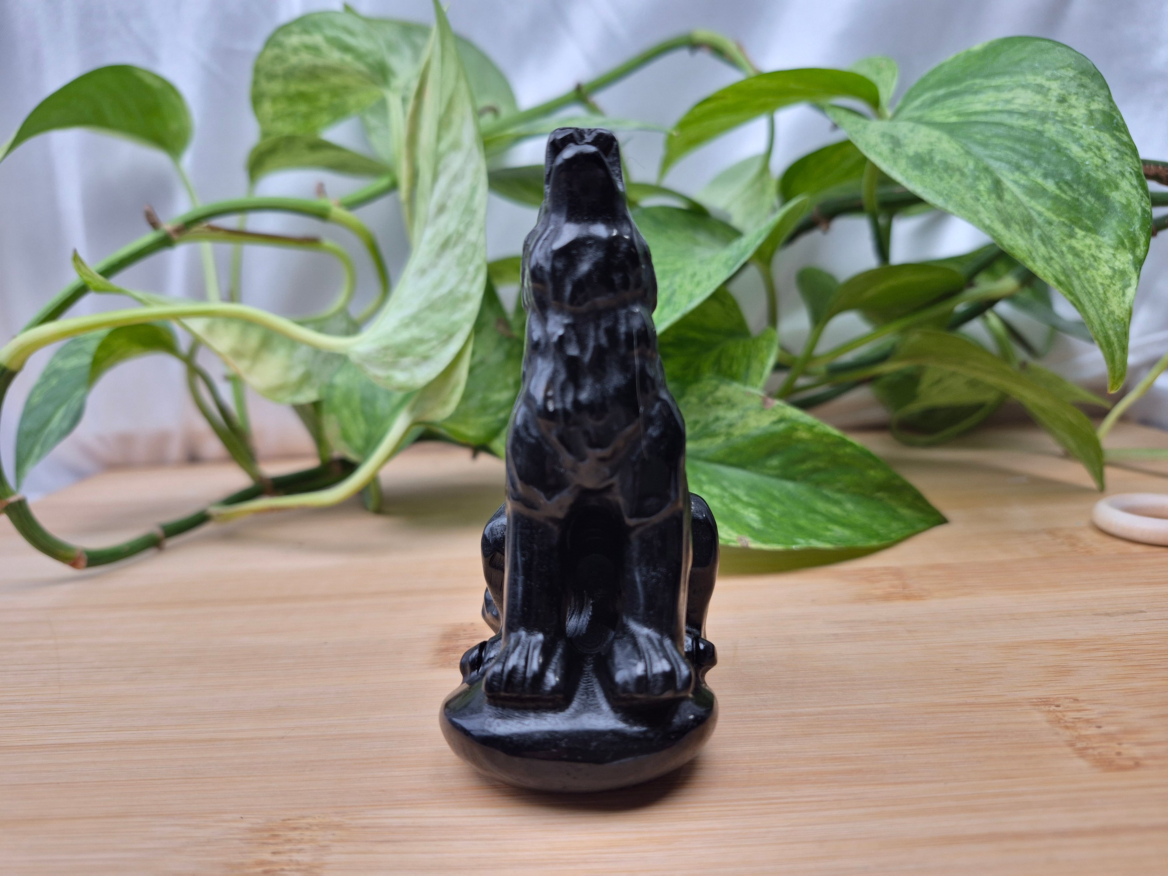 OBSIDIAN HOWLING WOLF