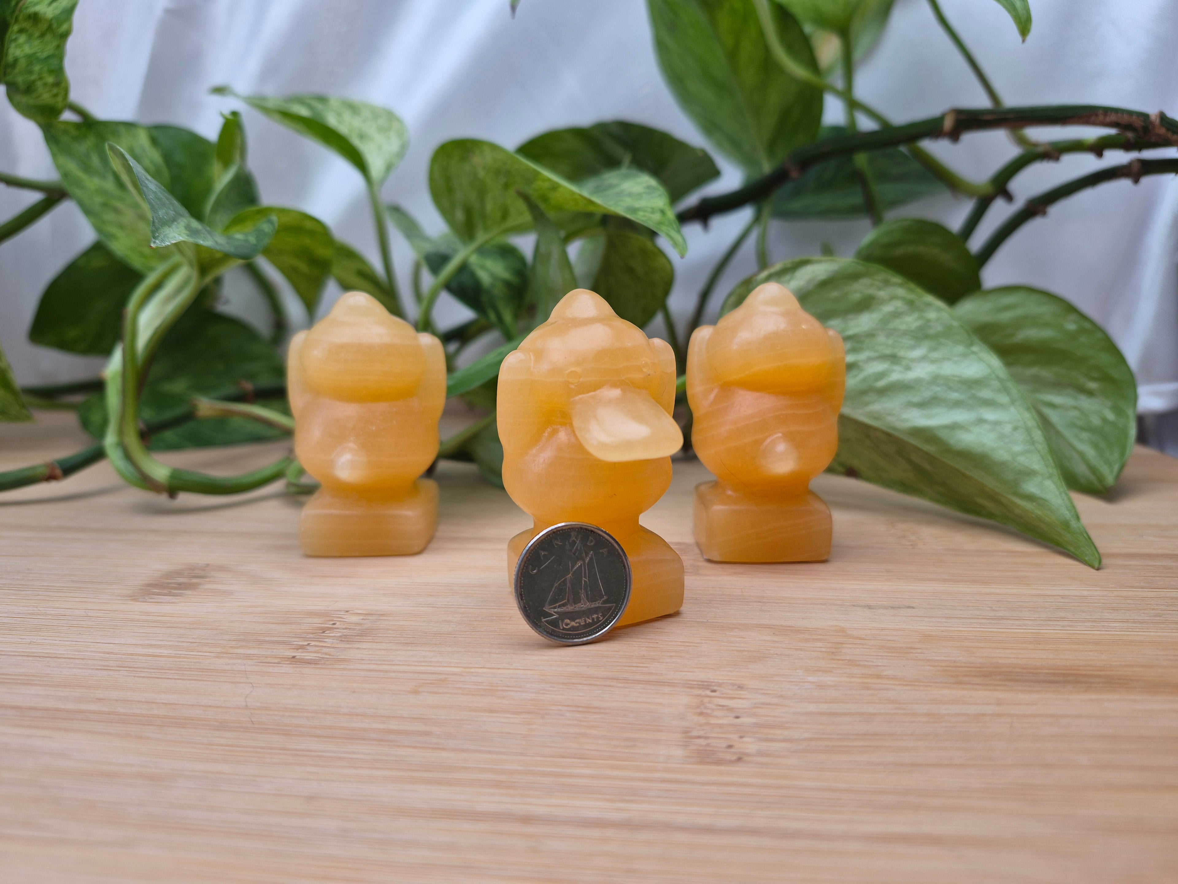 ORANGE CALCITE  PSYDUCK LG
