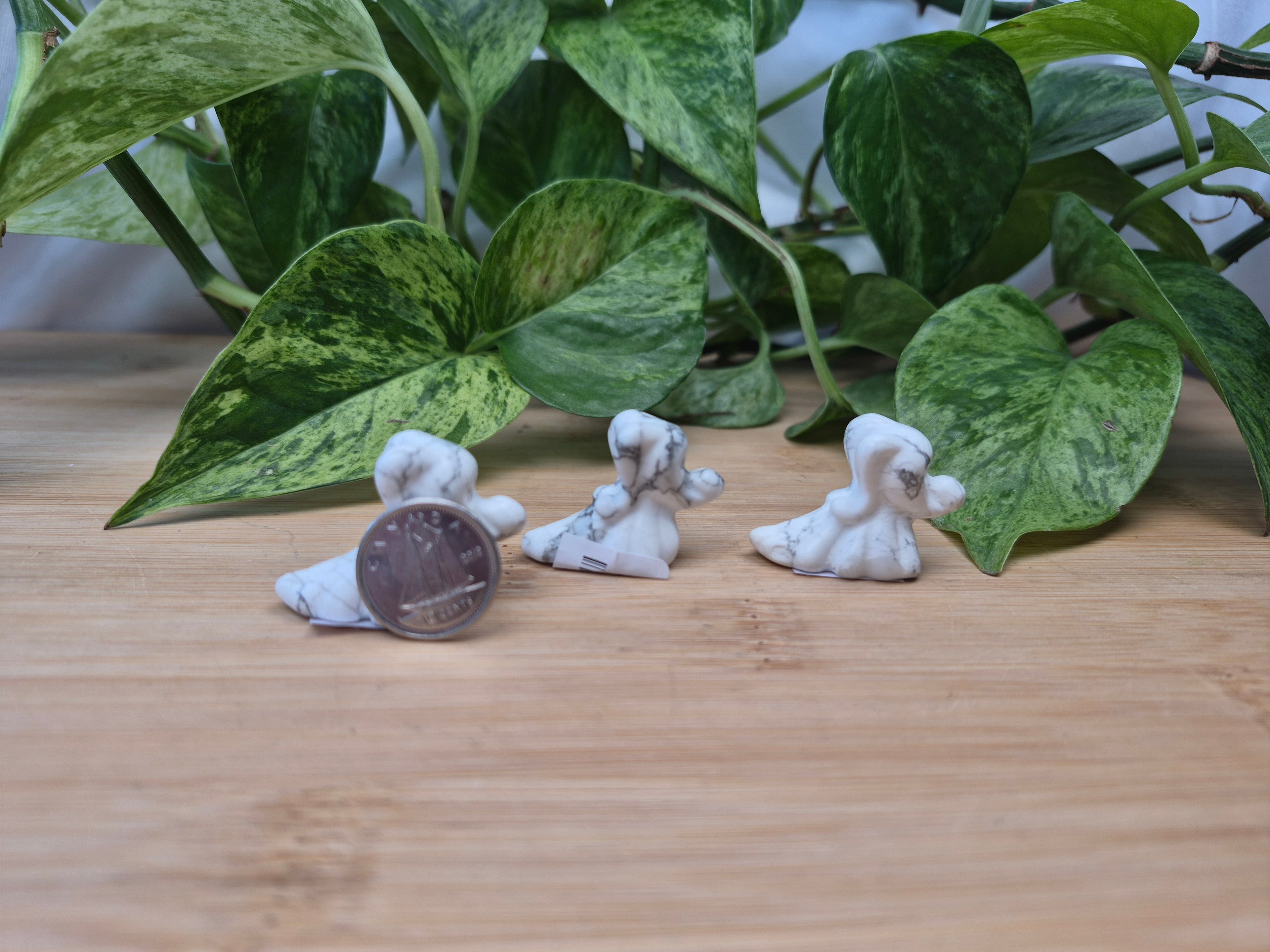 HOWLITE ZERO DOG