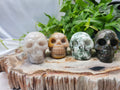 MIXED MATERIAL SKULL