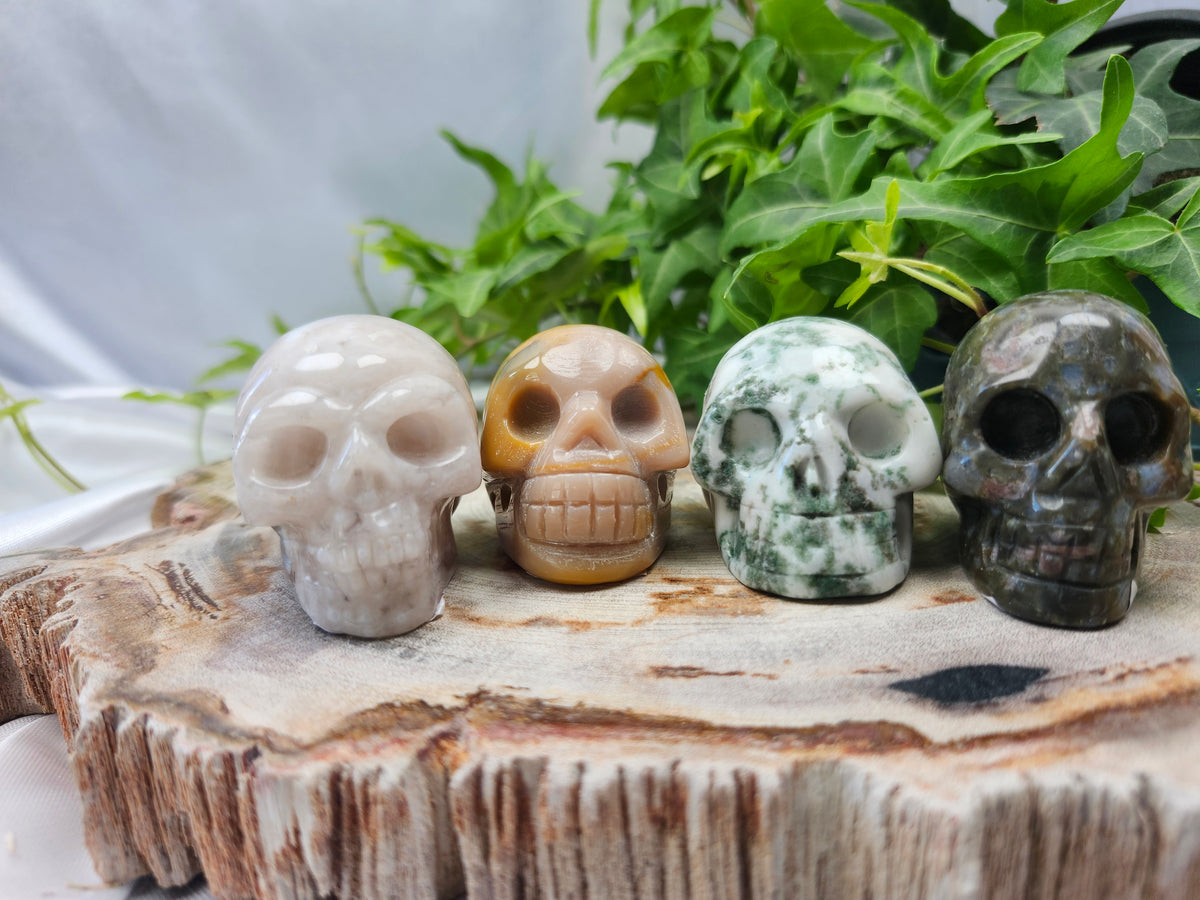 MIXED MATERIAL SKULL