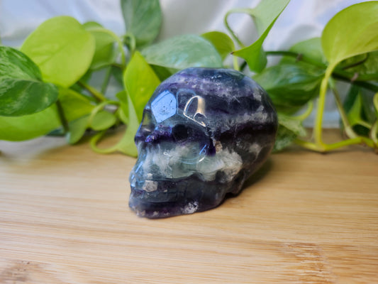FEATHER FLUORITE SKULL