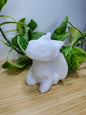WHITE JADE TOOTHLESS XXL