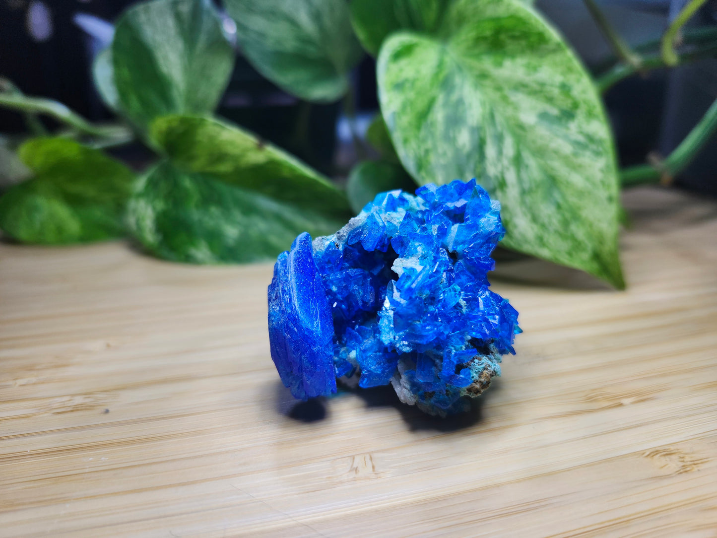 CHALCANTHITE SPECIMEN