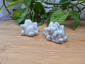 HOWLITE SNOM MD