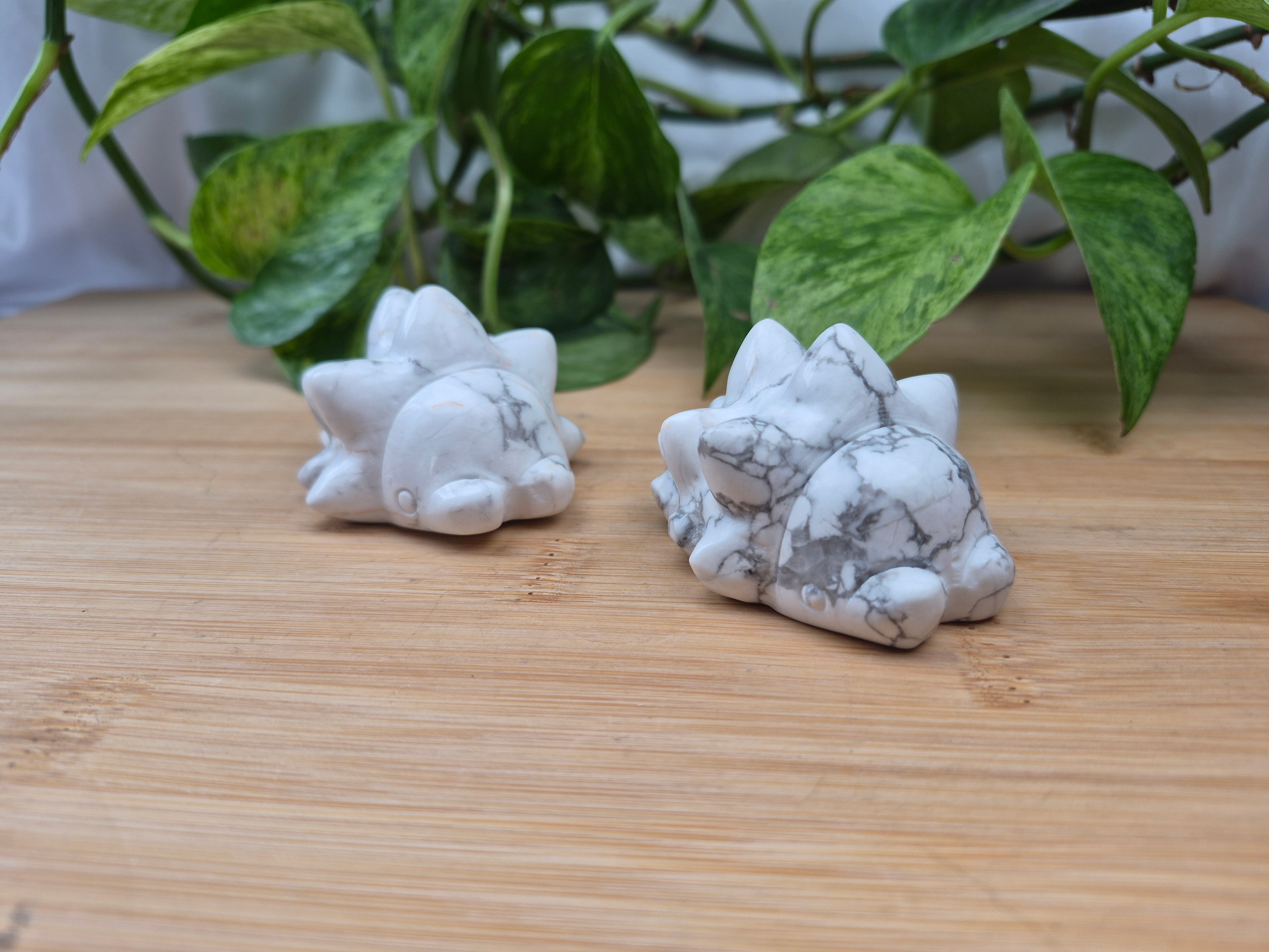 HOWLITE SNOM MD