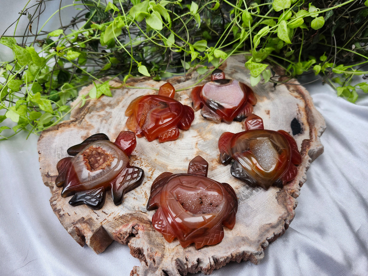 CARNELIAN TURTLE