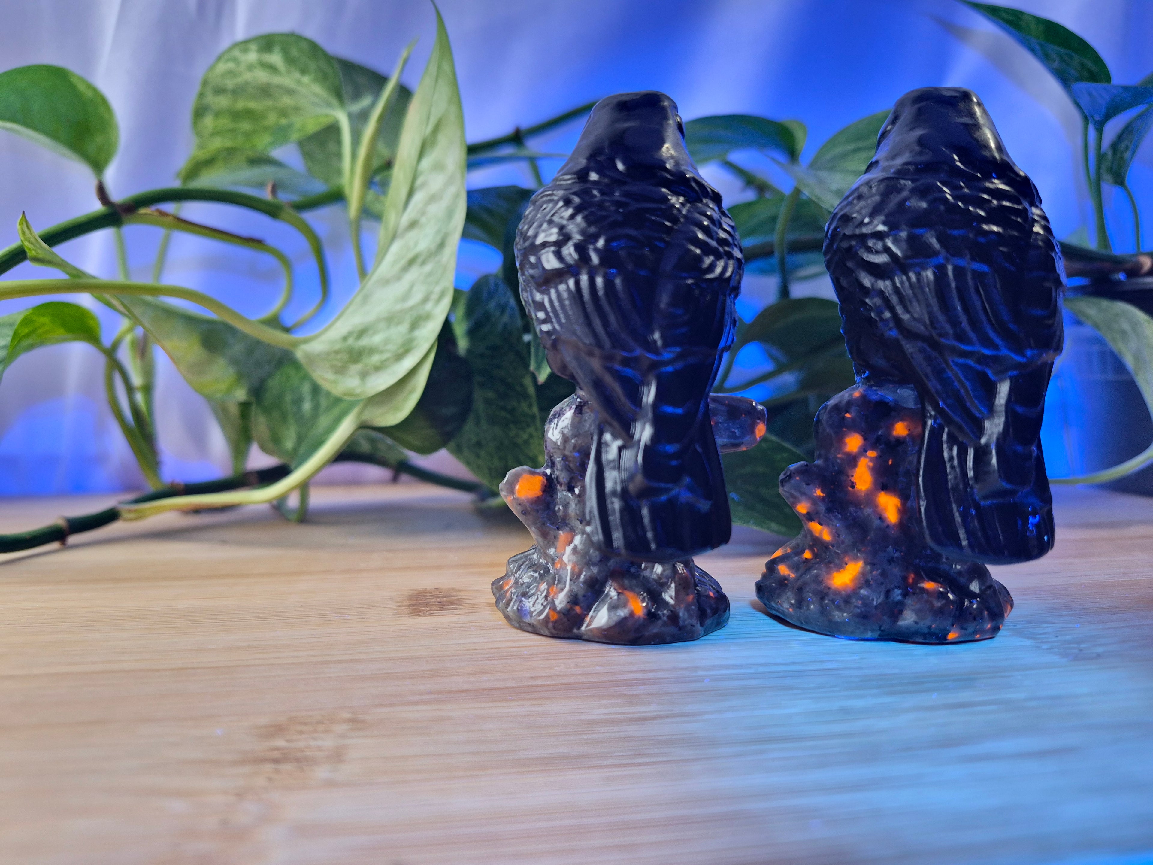 YOOPERLITE & OBSIDIAN RAVEN