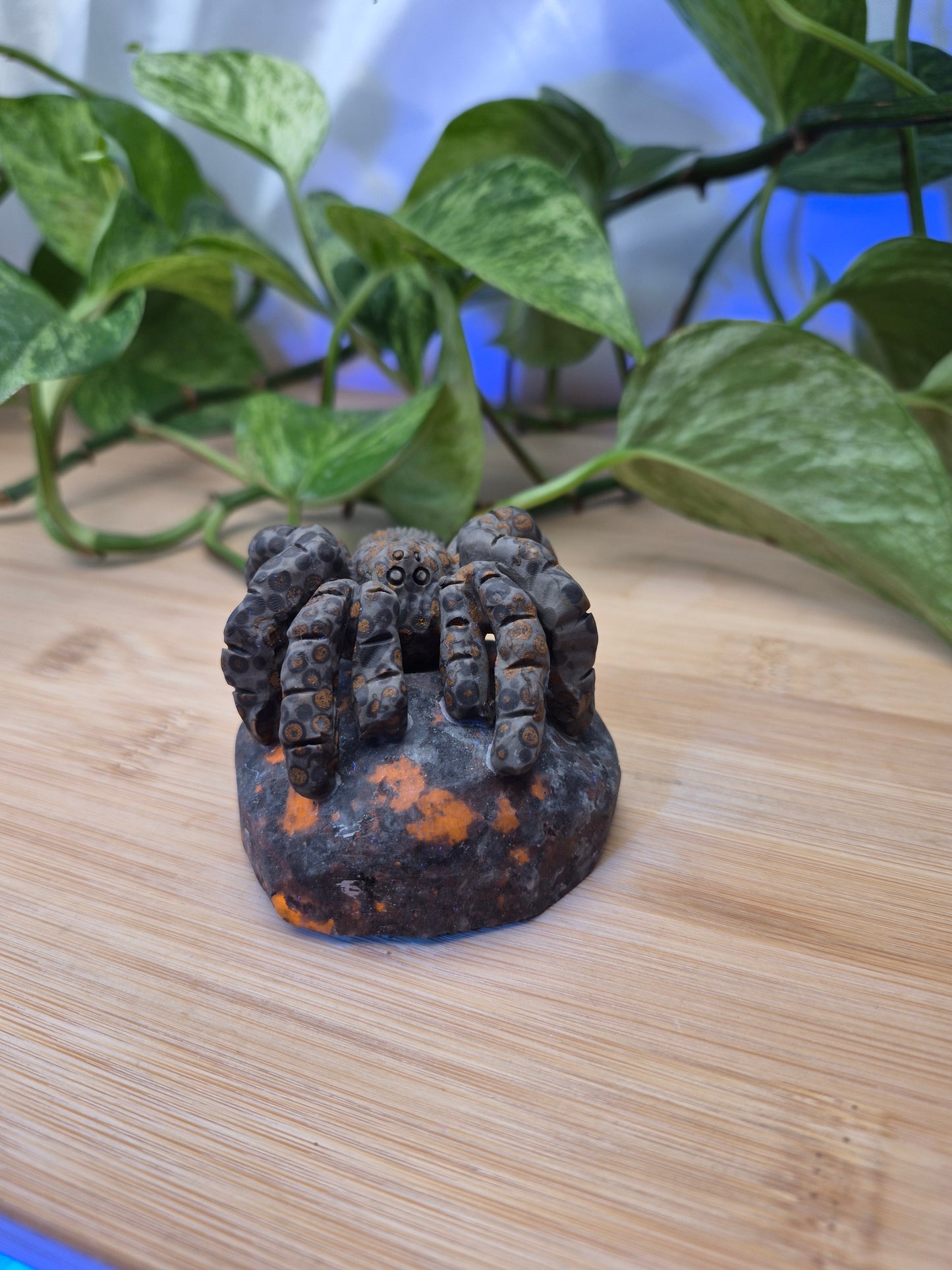 YOOPERLITE/LEOPARDITE TARANTULA