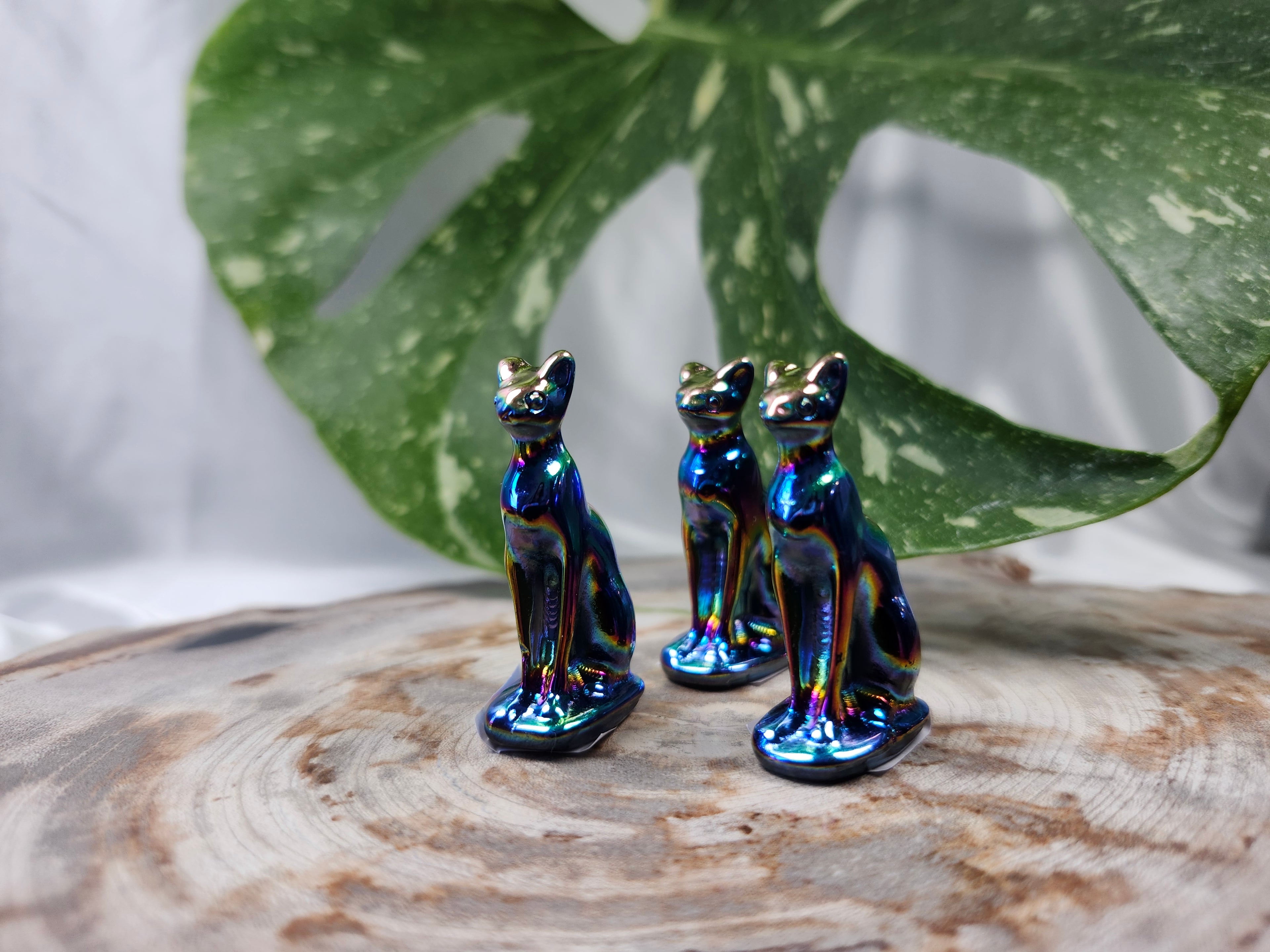 AURA COATED OBSIDIAN CAT