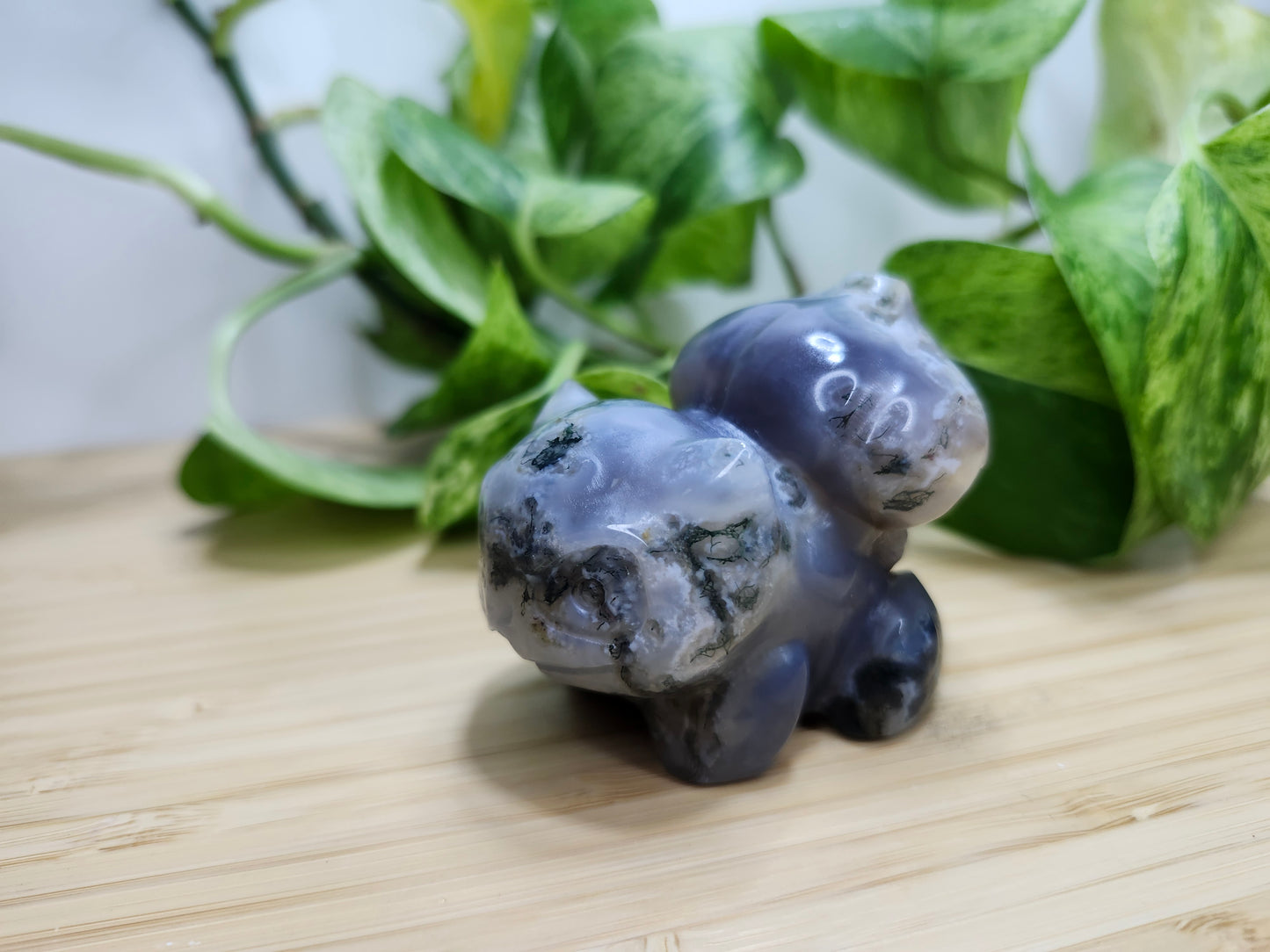 MOSS AGATE BULBASAUR LG