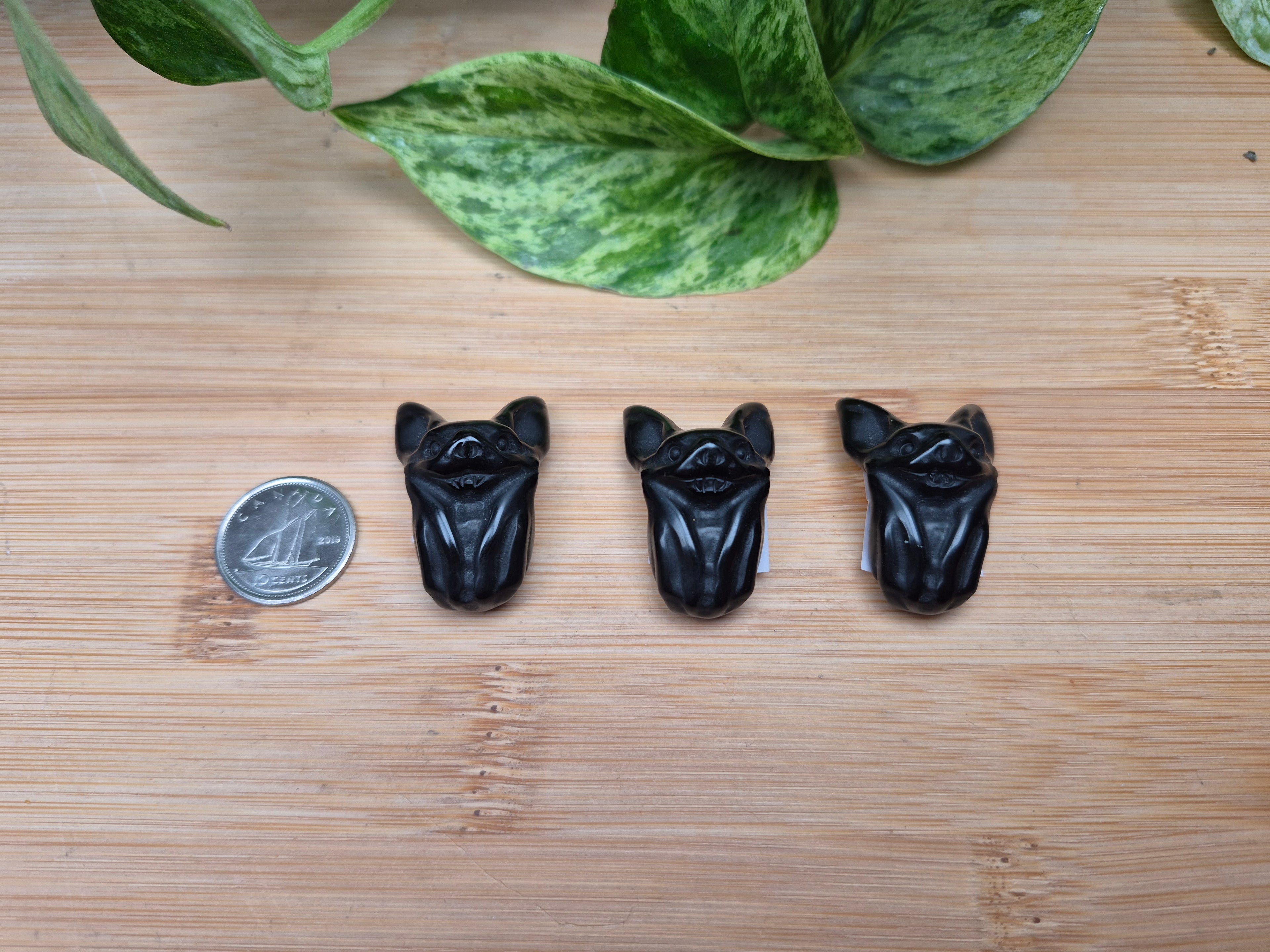 OBSIDIAN BAT
