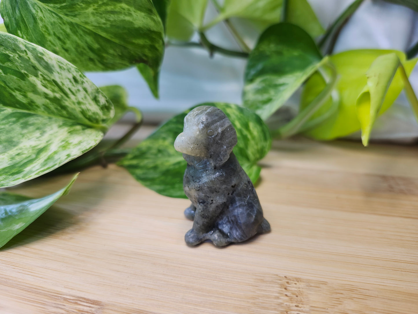 LABRADORITE SITTING LAB DOG