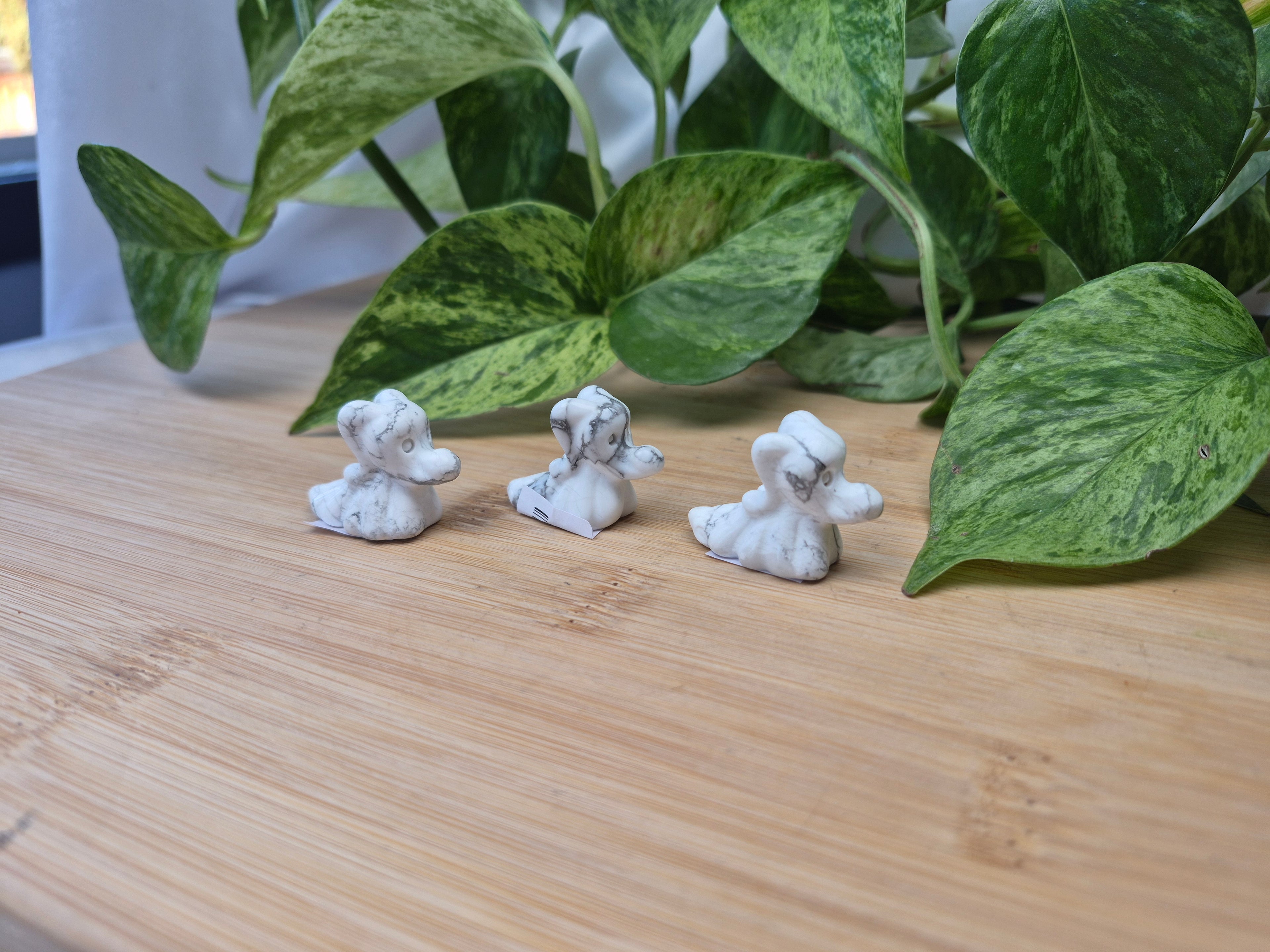 HOWLITE ZERO DOG