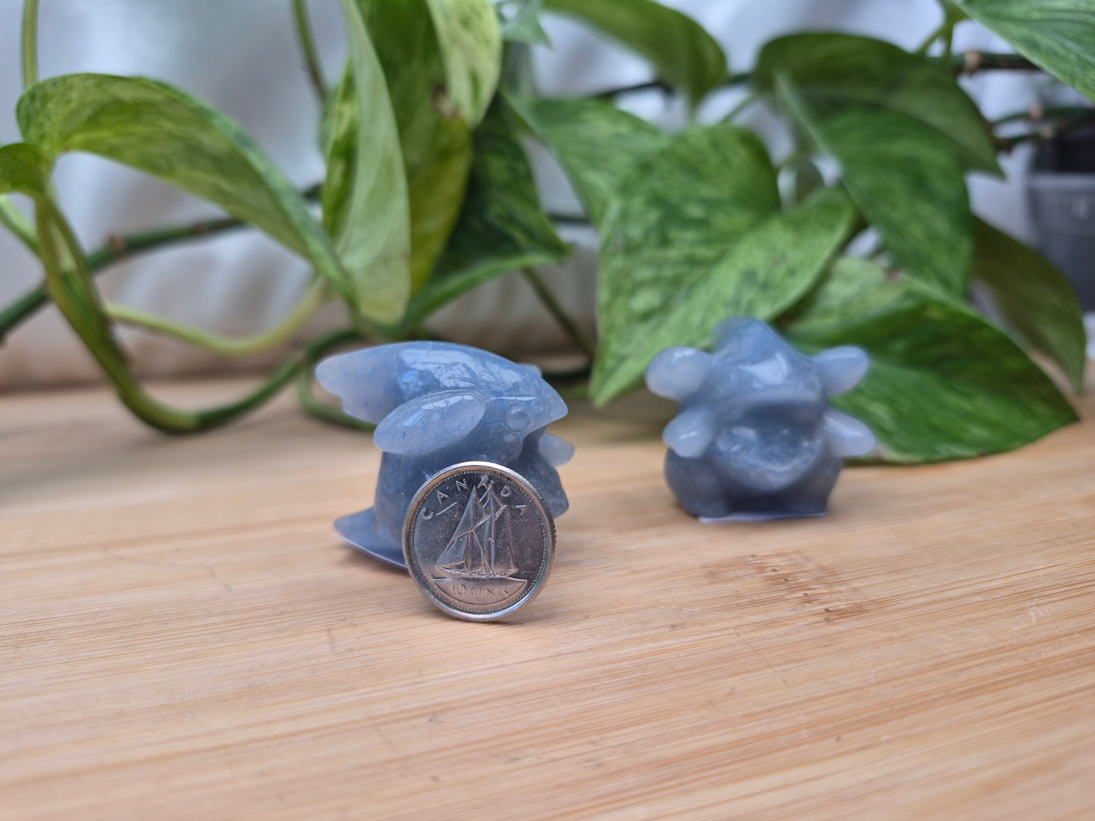 BLUE AVENTURINE GIBLE