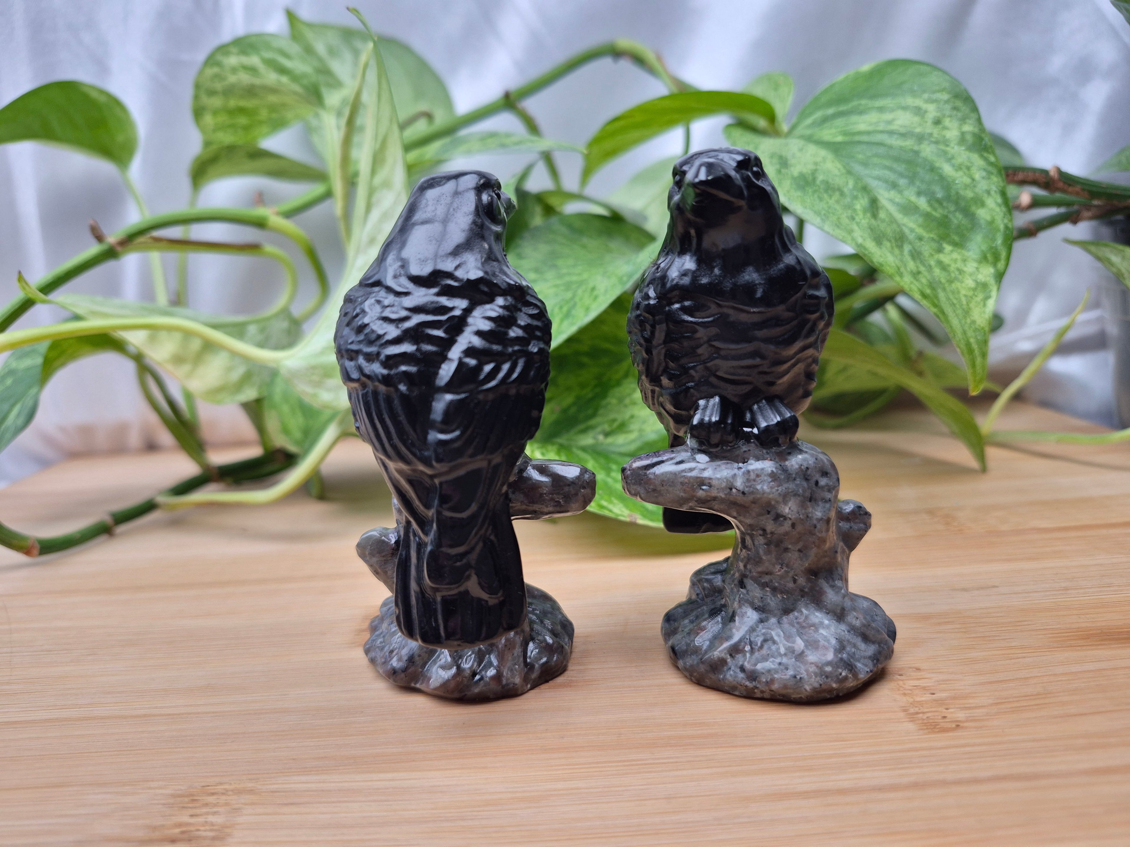 YOOPERLITE & OBSIDIAN RAVEN