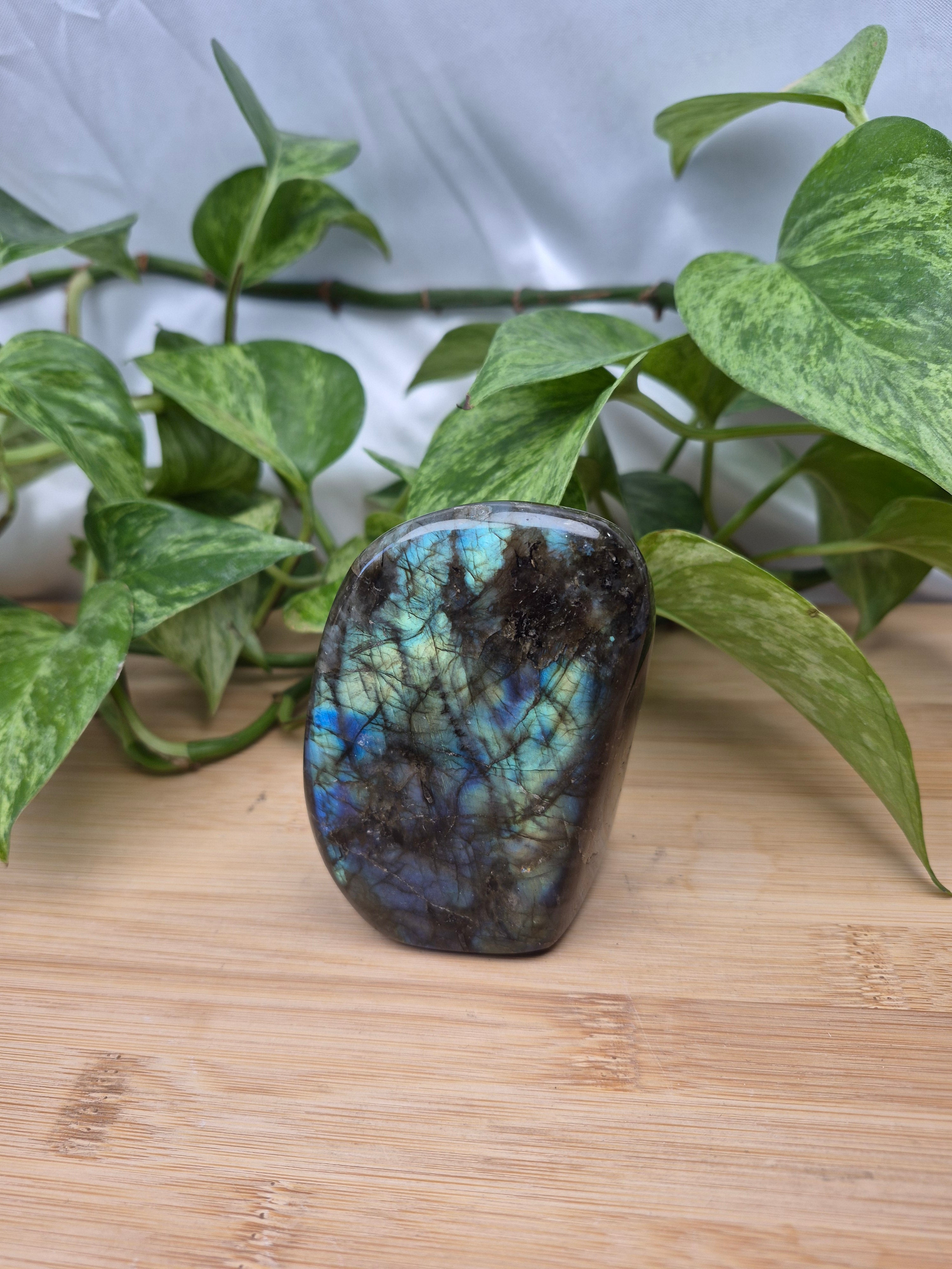 LABRADORITE FREEFORM