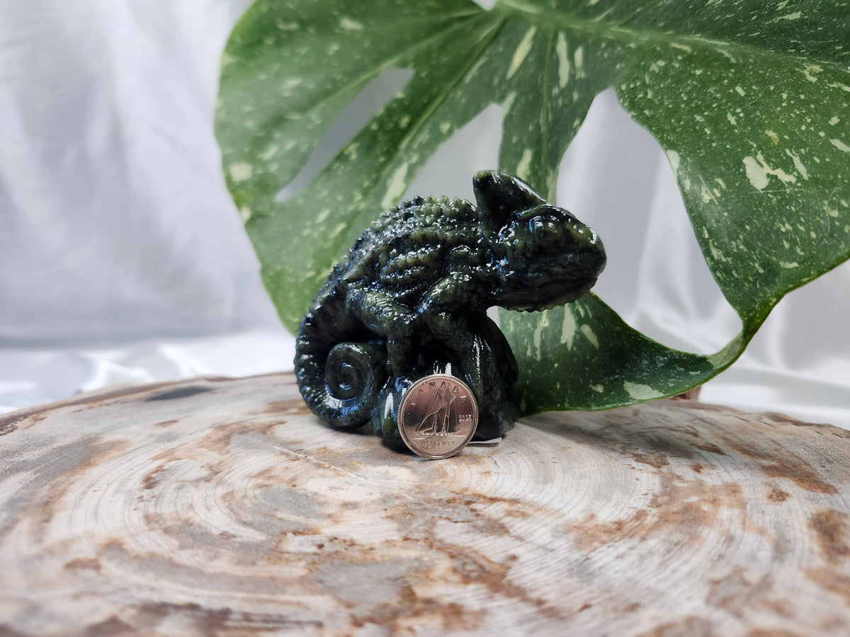 JADE CHAMELEON