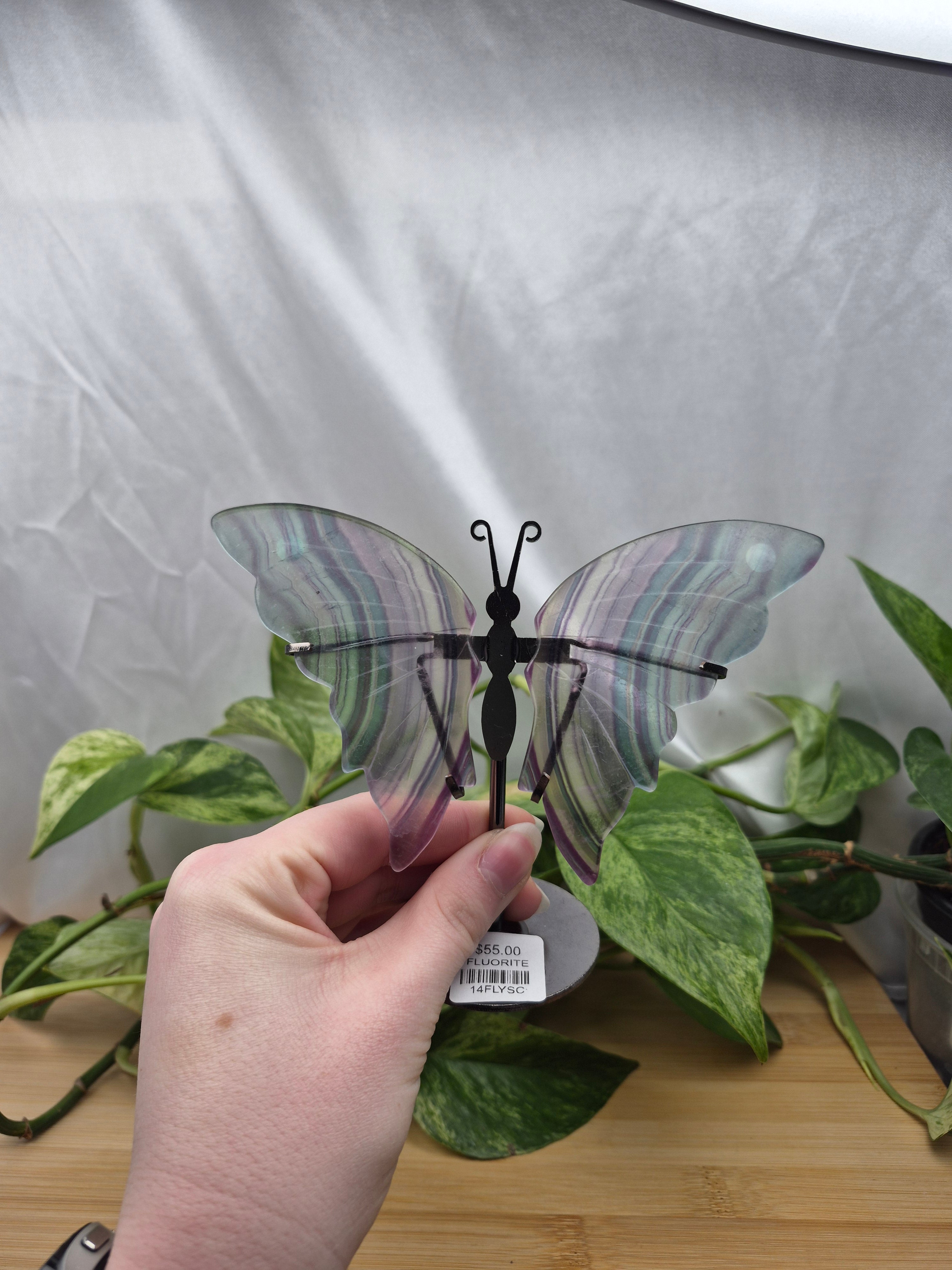 FLUORITE BUTTERFLY WINGS