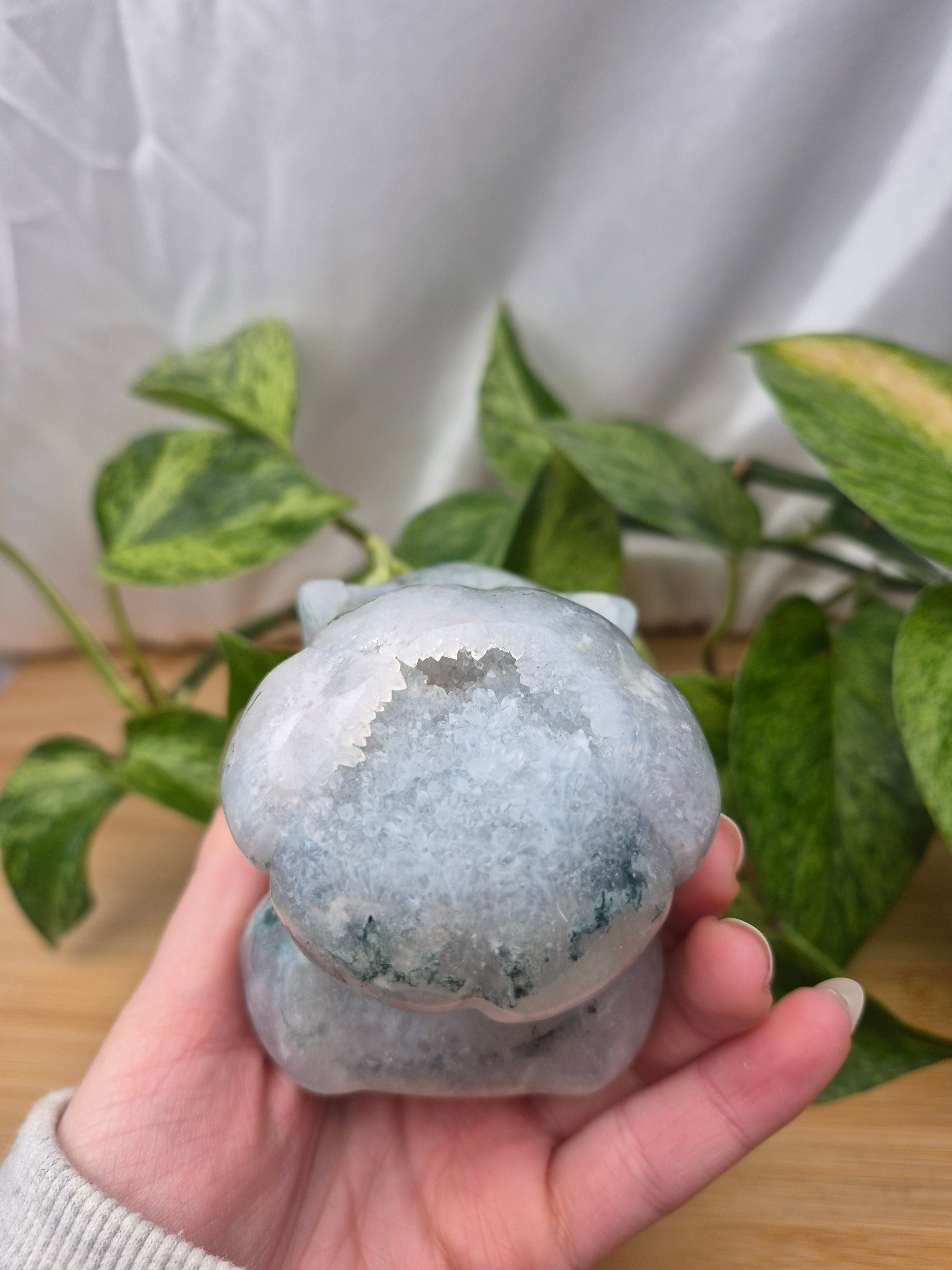 MOSS AGATE BULBASAUR