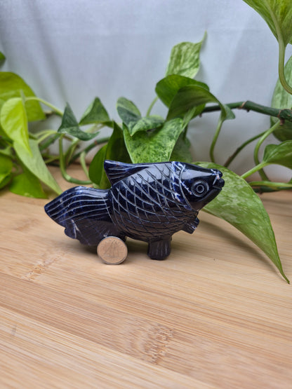 SODALITE FISH