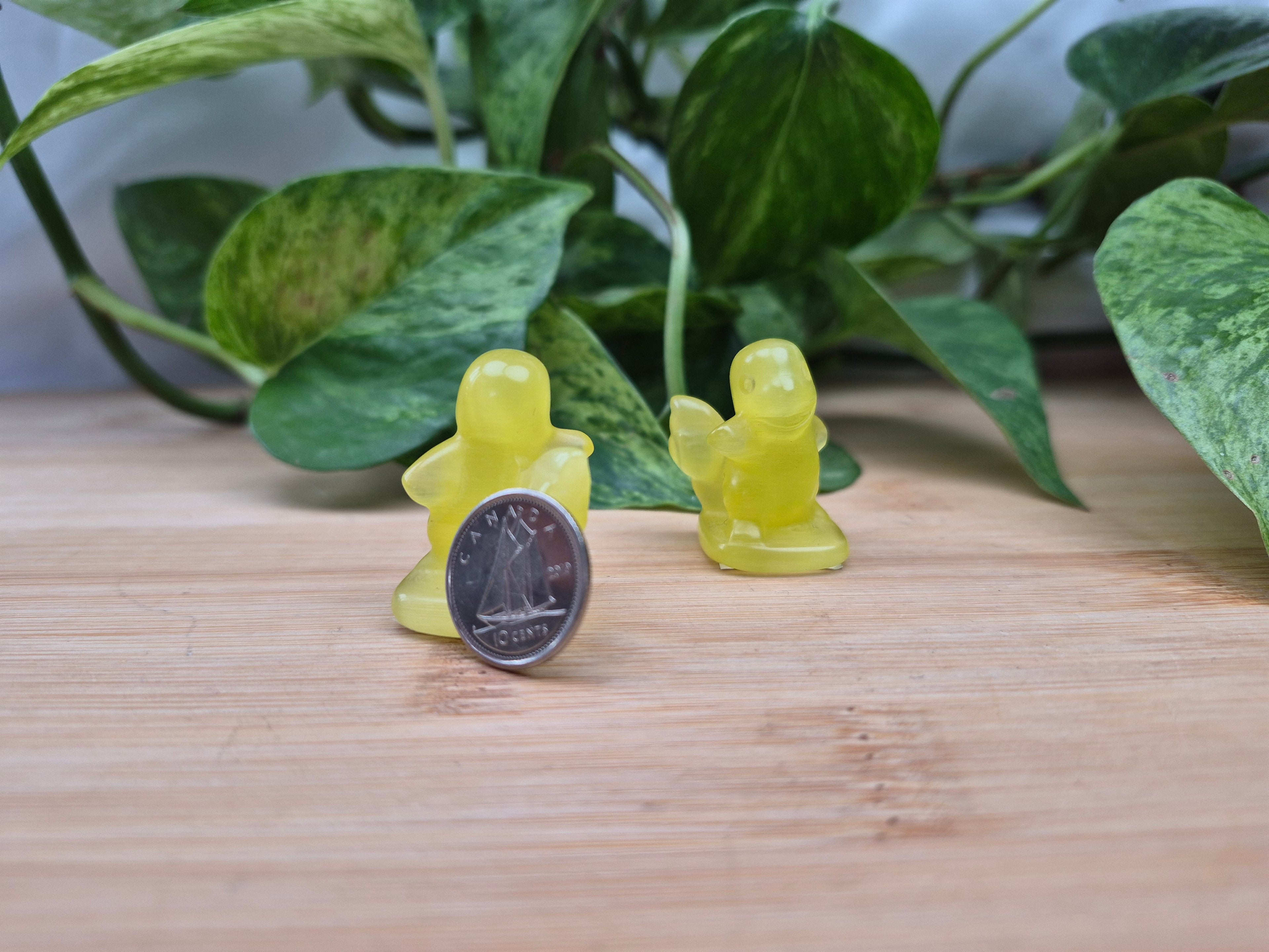 YELLOW CATS EYE CHARMANDER