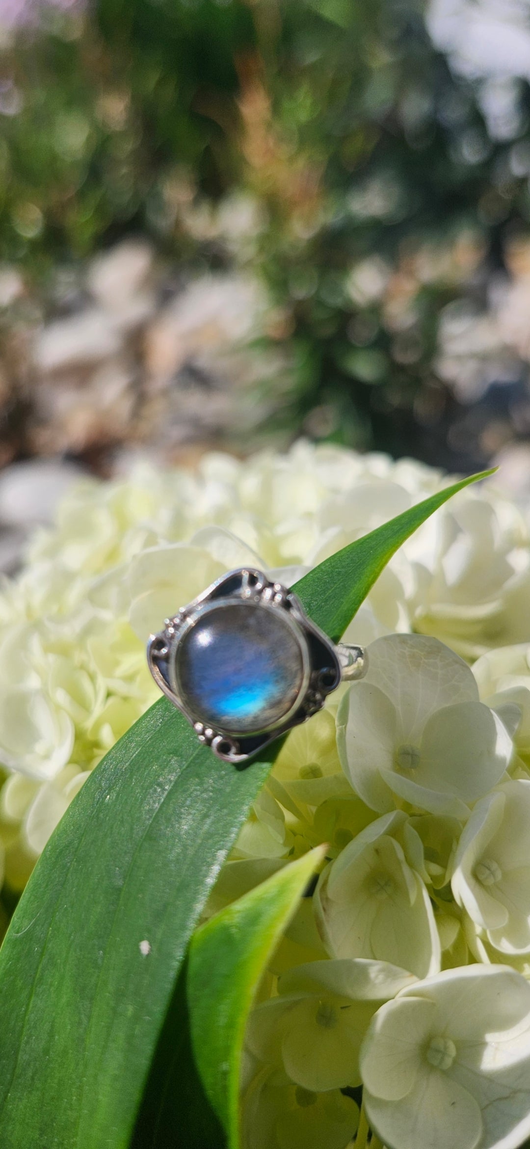 S6 LABRADORITE RING .925 STERLING SILVER