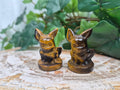 TIGERS EYE EEVEE
