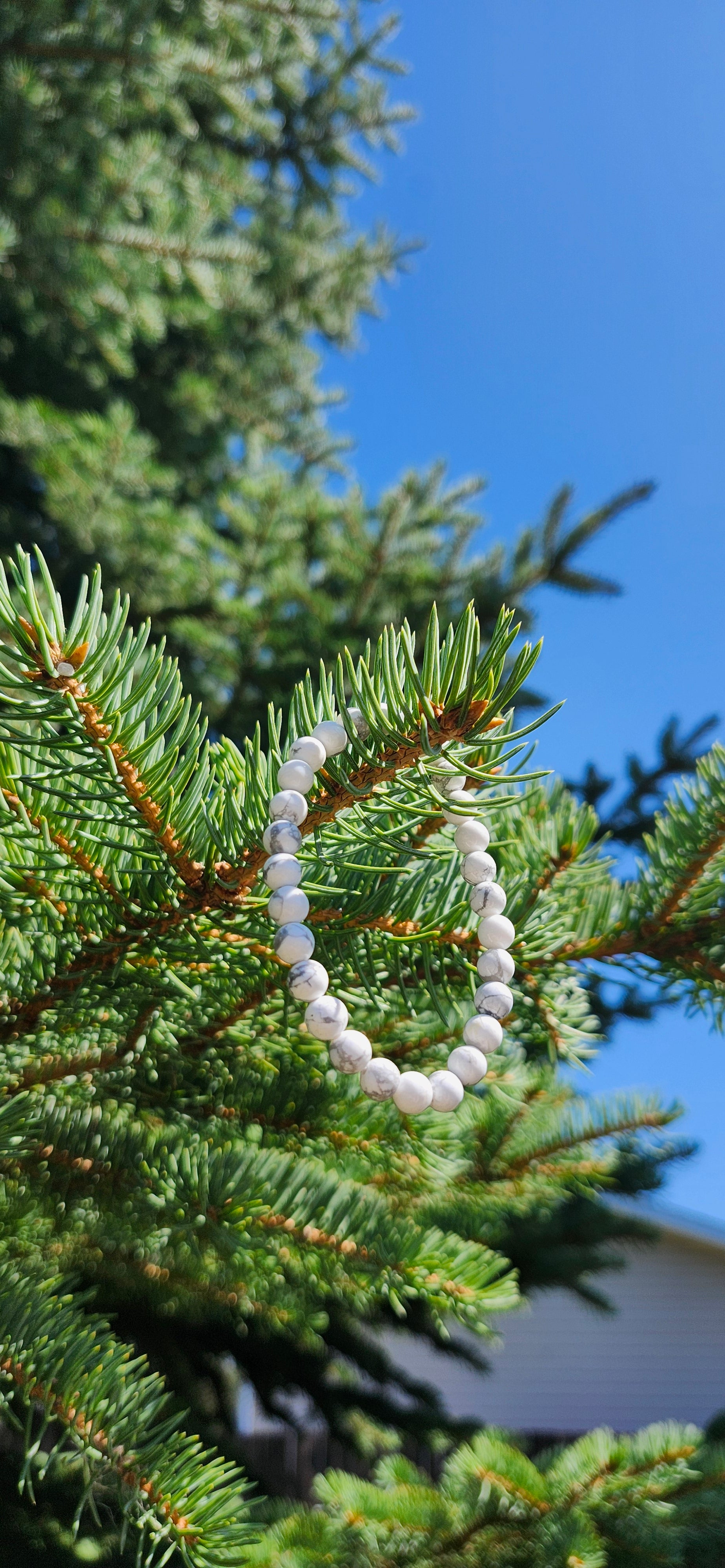 6mm HOWLITE BRACELET